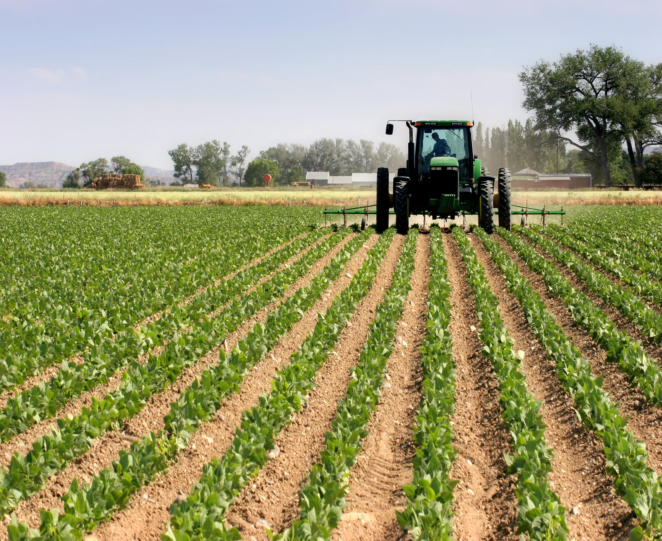 tractor plowing the fields