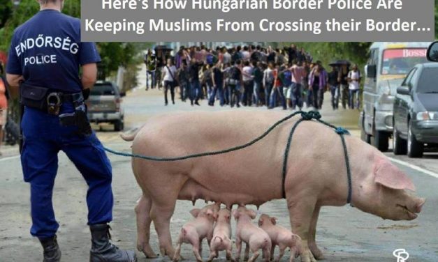 Hungarian police border migrant pig