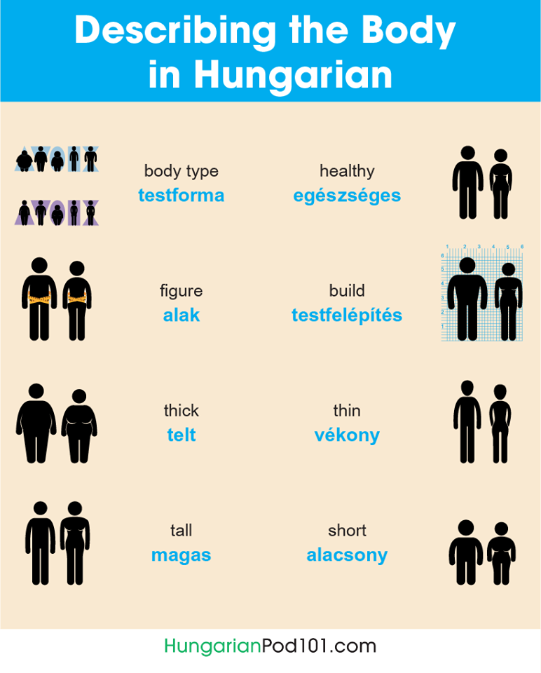 describing the body learning hungarian language lesson