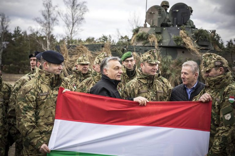 hungarian defence forces