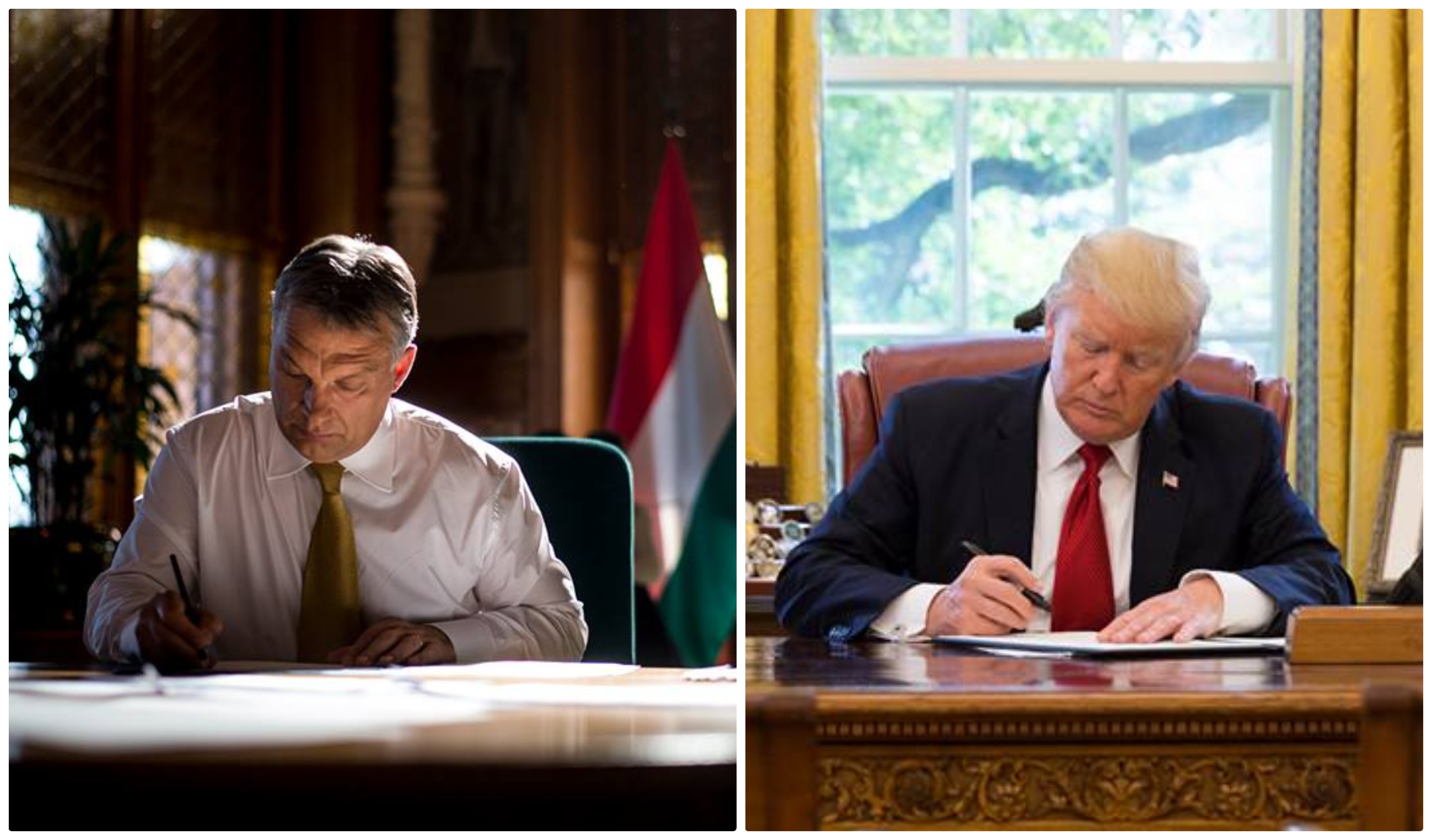 Orbán et Trump au bureau