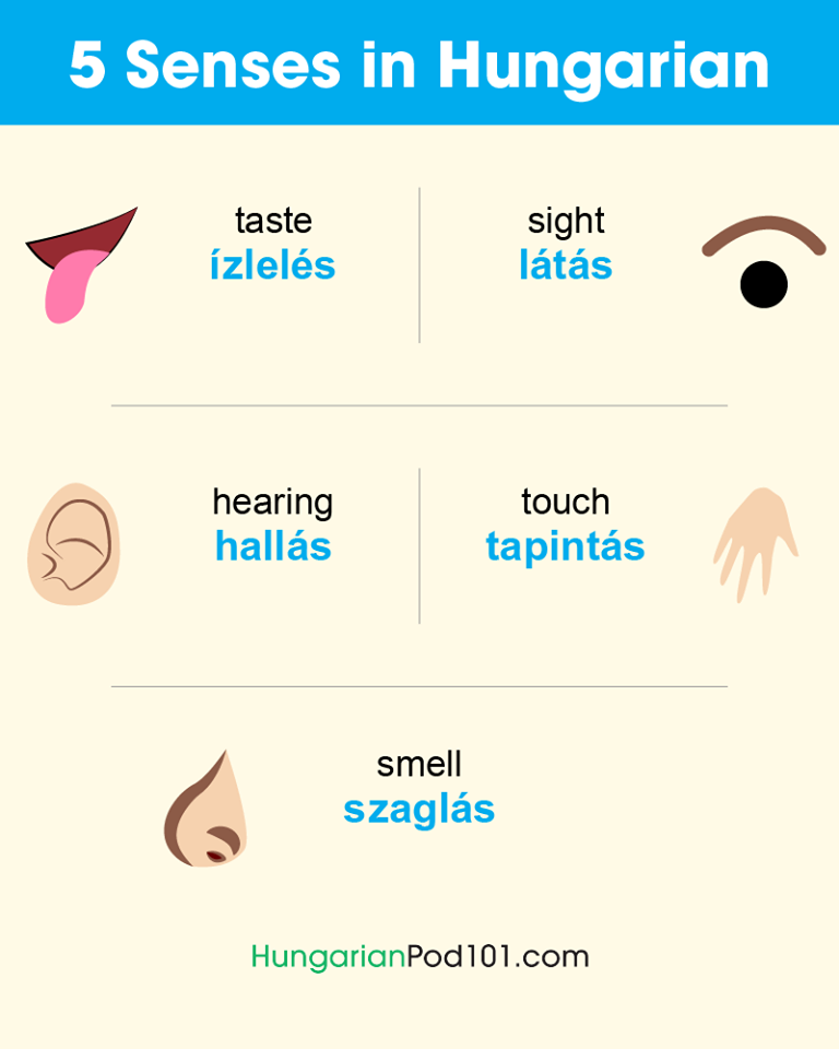senses learning hungarian language lesson