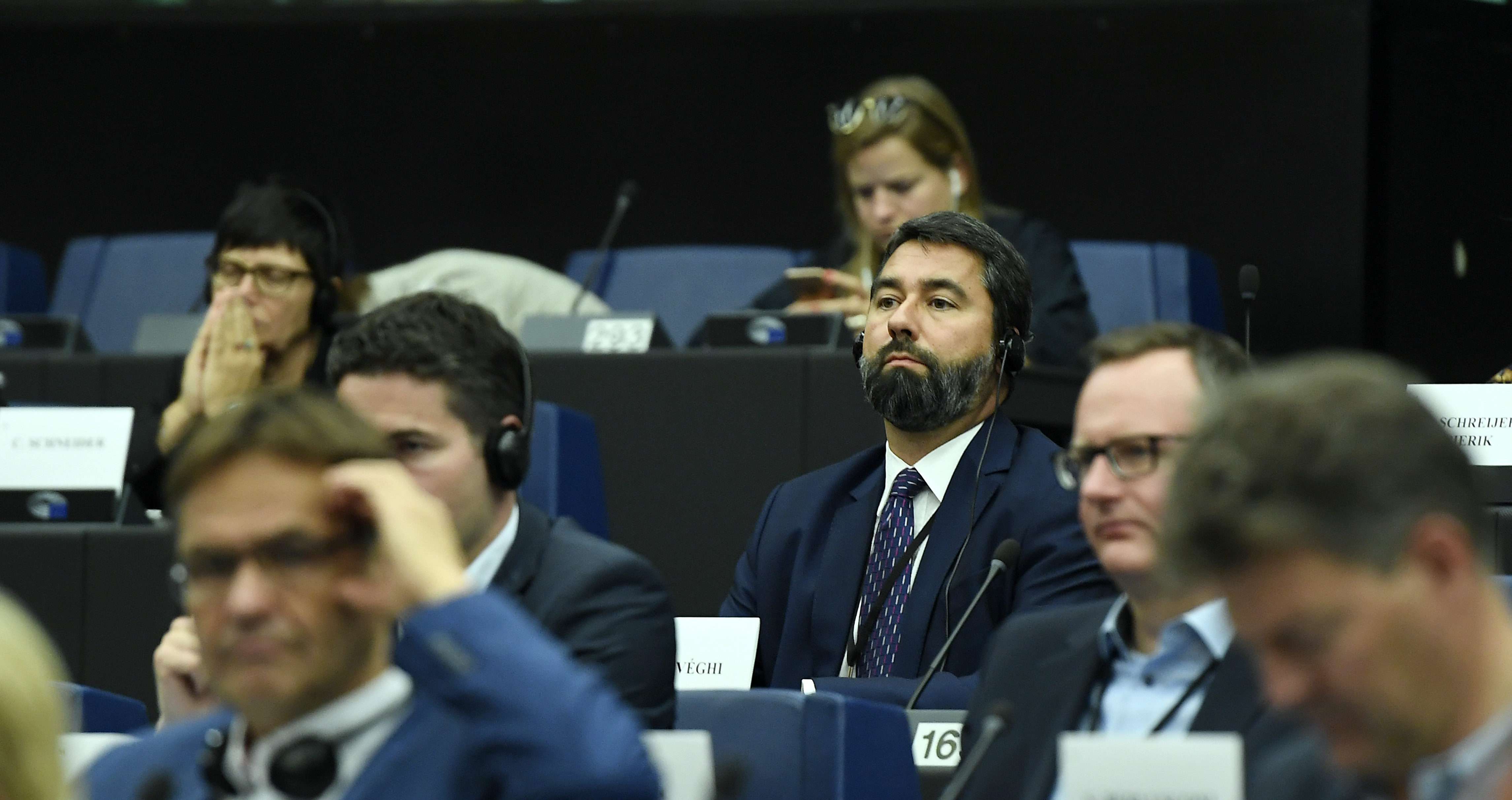 Депутат Европарламента от Фидес Хидвеги в Брюсселе