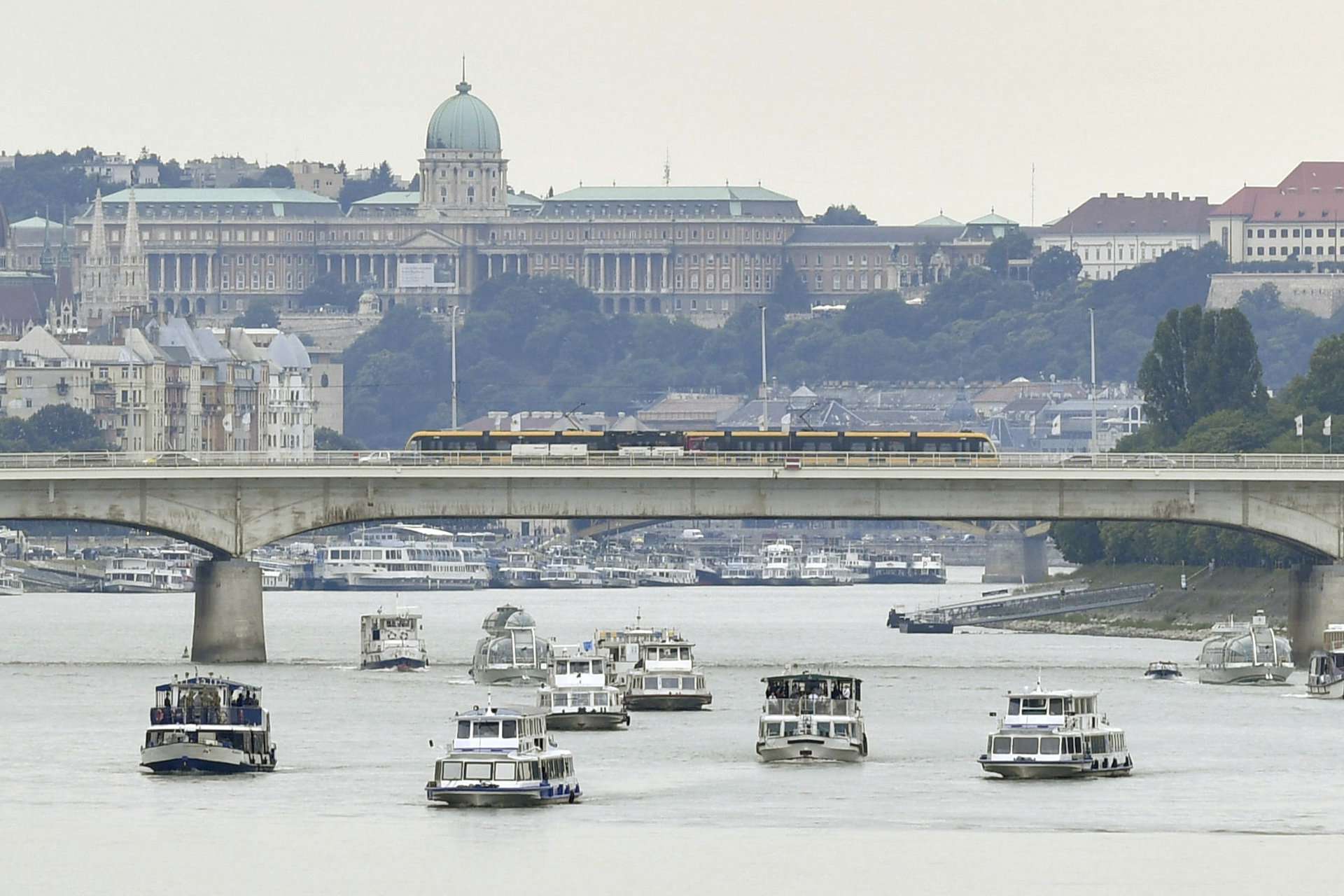 布达佩斯的船舶碰撞-多瑙河上举行的纪念活动