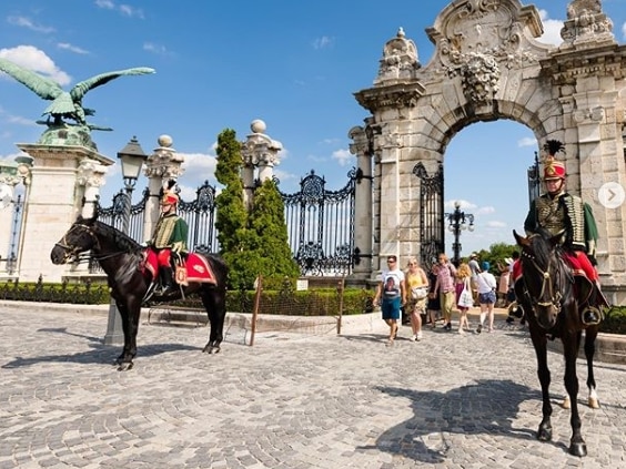 police horse budapest hungary hussar