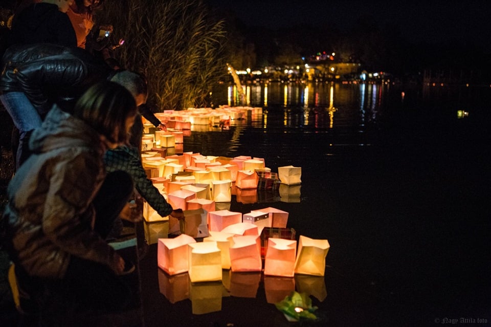Hungary lake summer Budapest