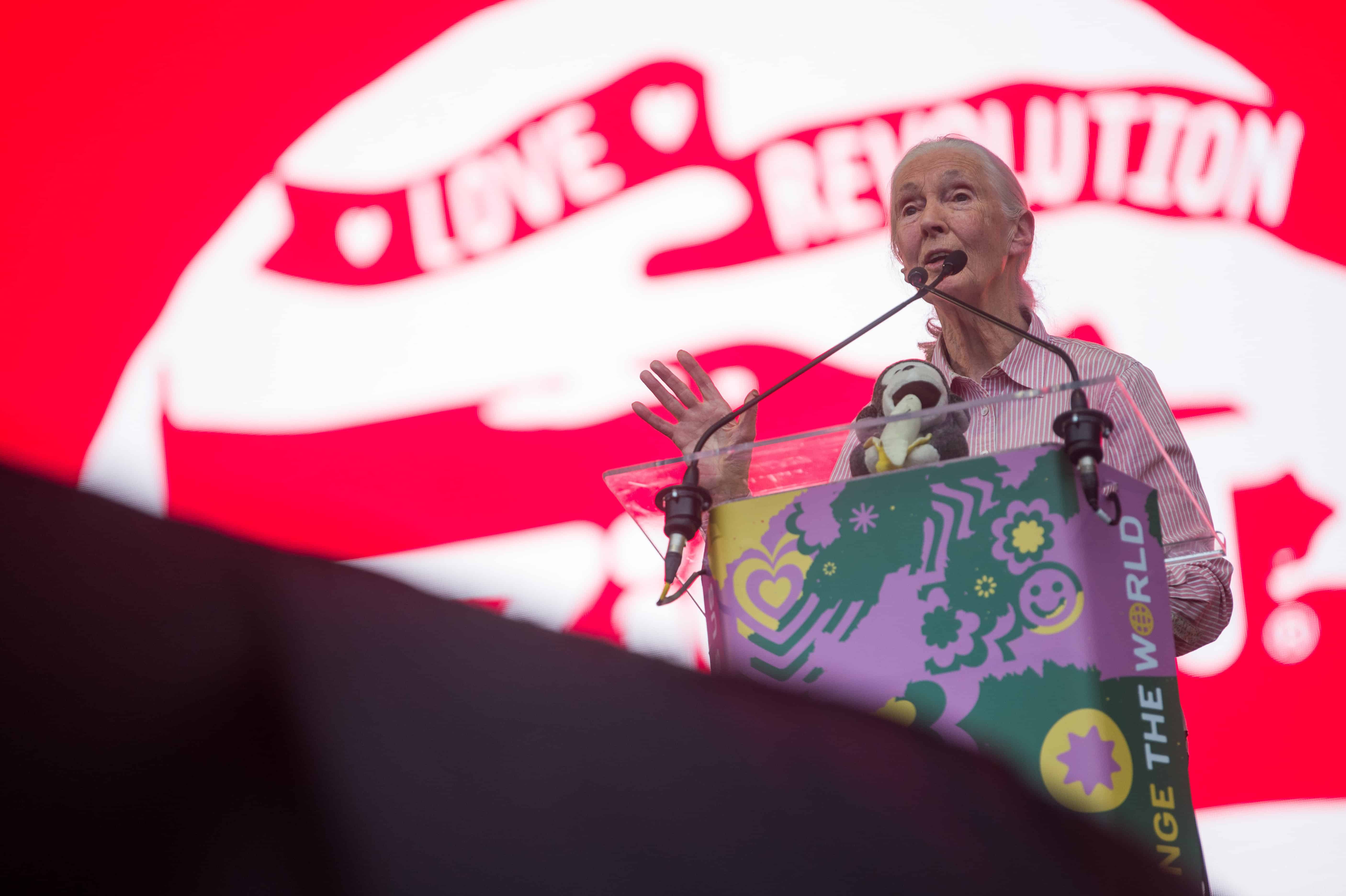 sziget jane goodall