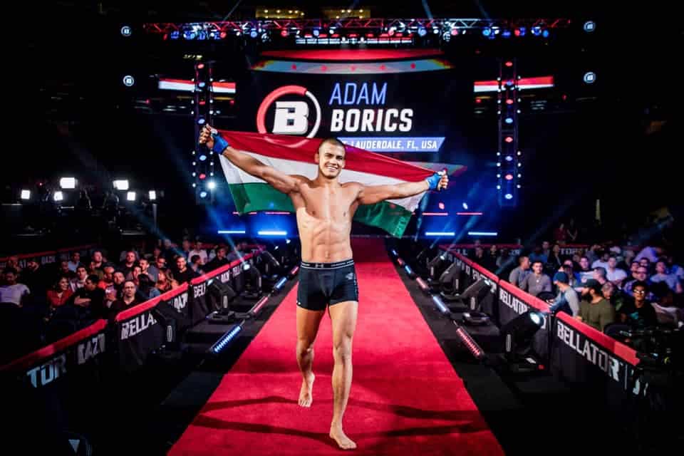 Ádám Borics, Hongrie, MMA, sport