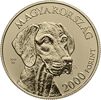 coin with vizsla