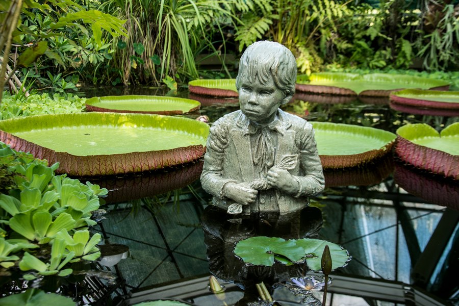 füvészkert, garden, budapest