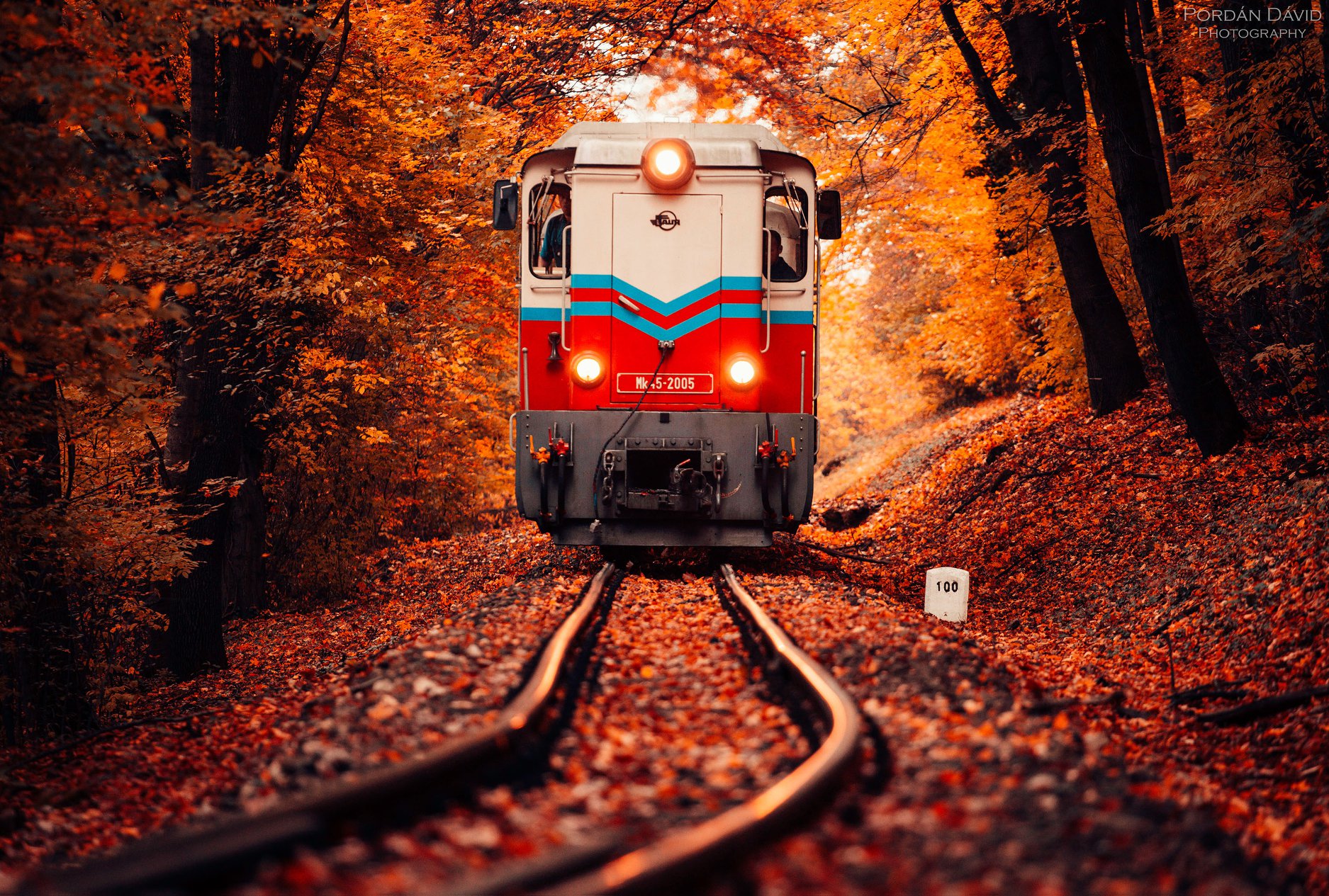 5 поездок на поезде, которые нельзя пропустить этой осенью в Венгрии