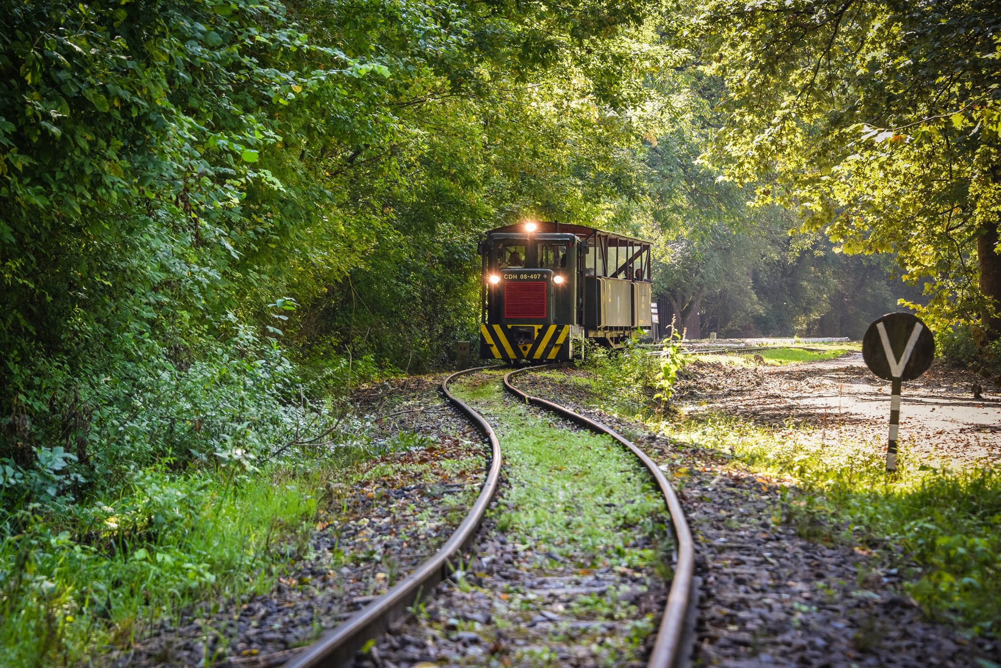Gemenc, forêt, chemin de fer, Hongrie