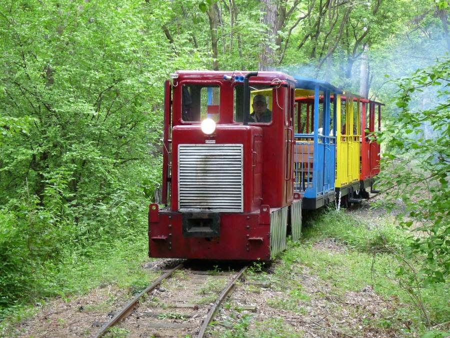 Mecsek, forest, Hungary, railway