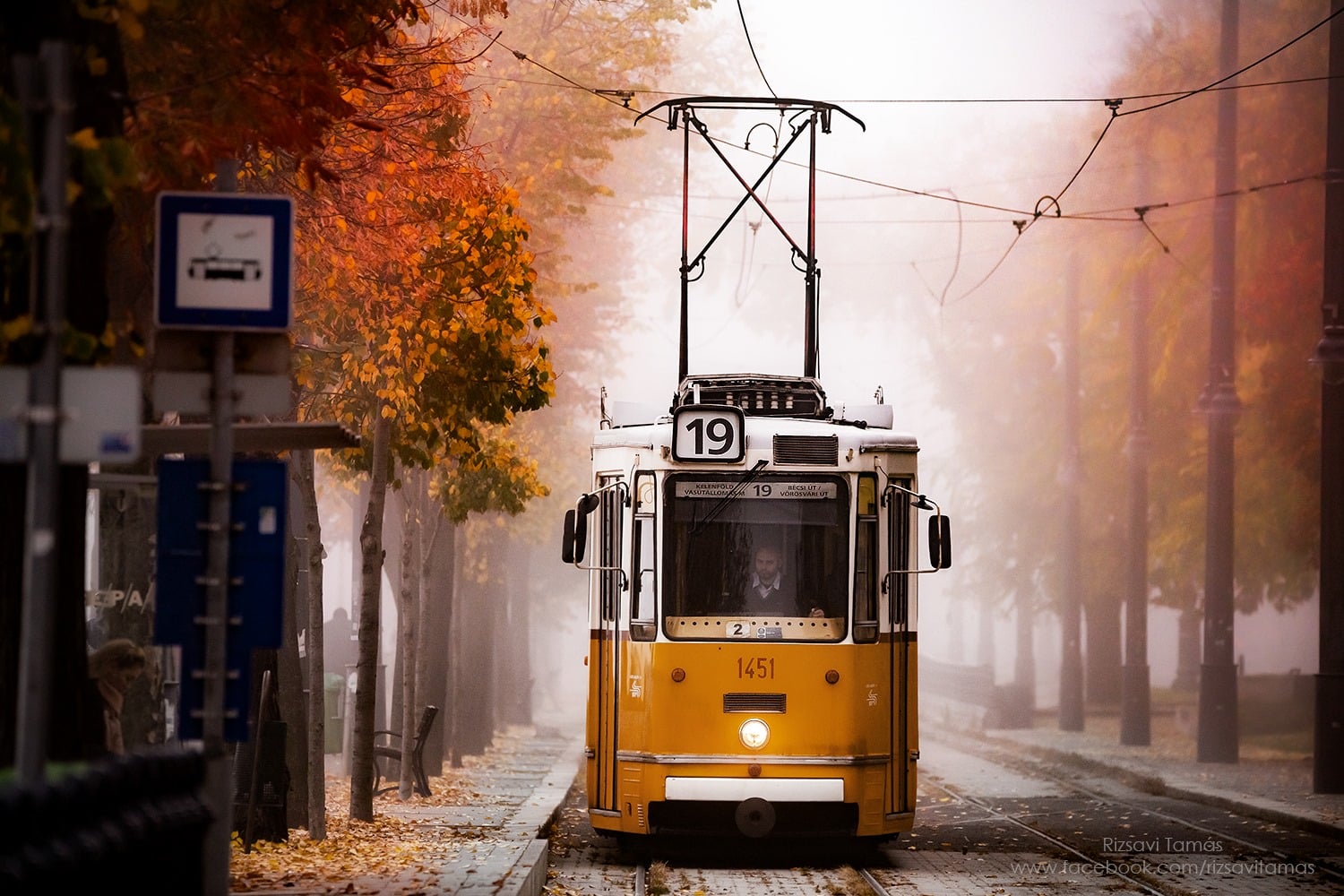 Herbst Straßenbahn