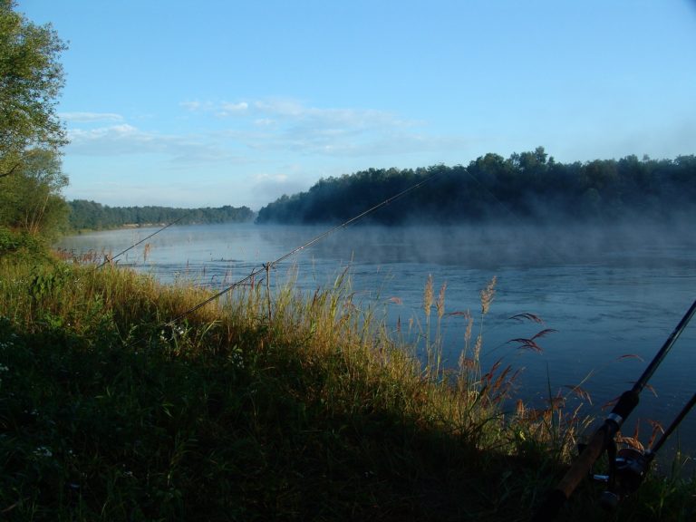 drava