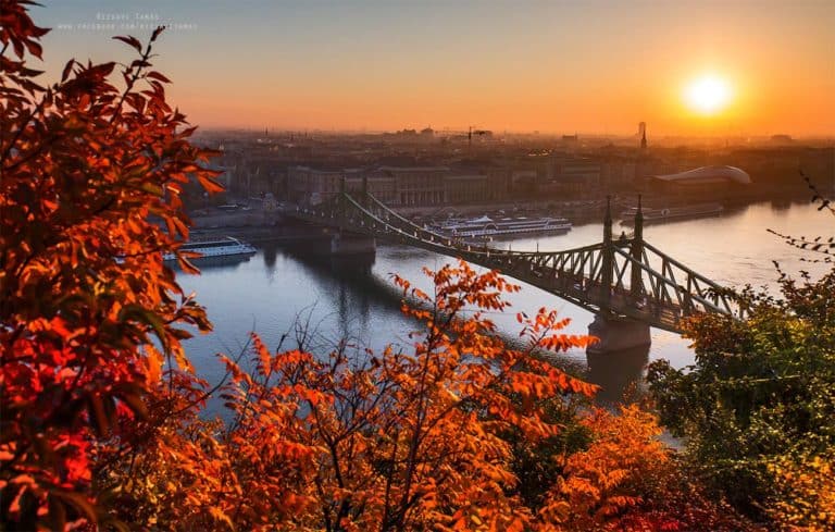 liberty bridge budapest