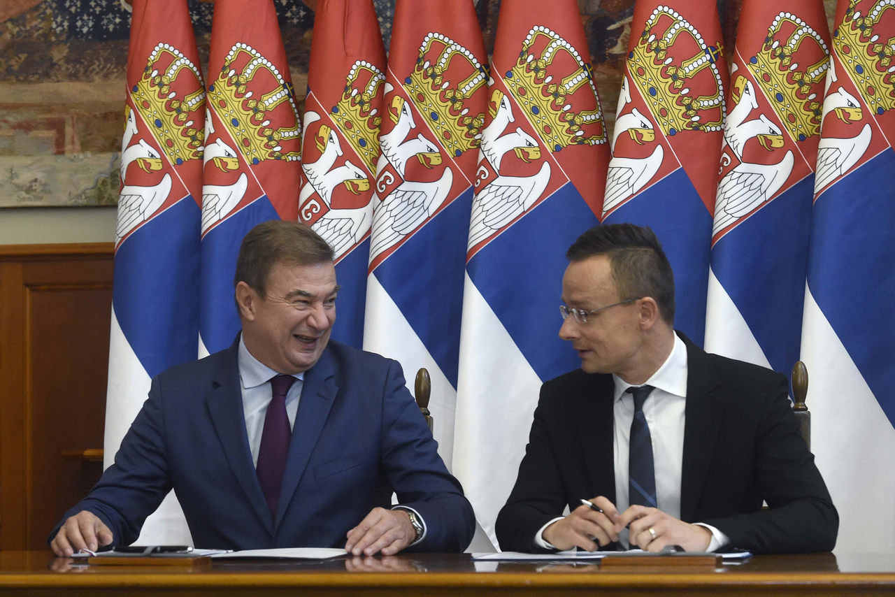 गोरान नेज़ेविक, सर्बिया के अर्थव्यवस्था मंत्री