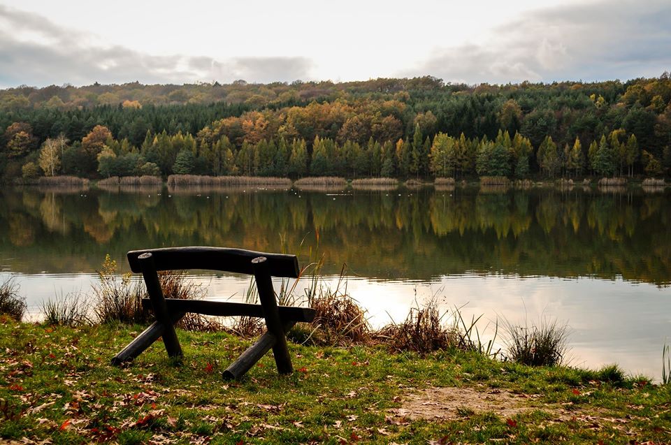 Hársas lake, Hungary, nature, lake