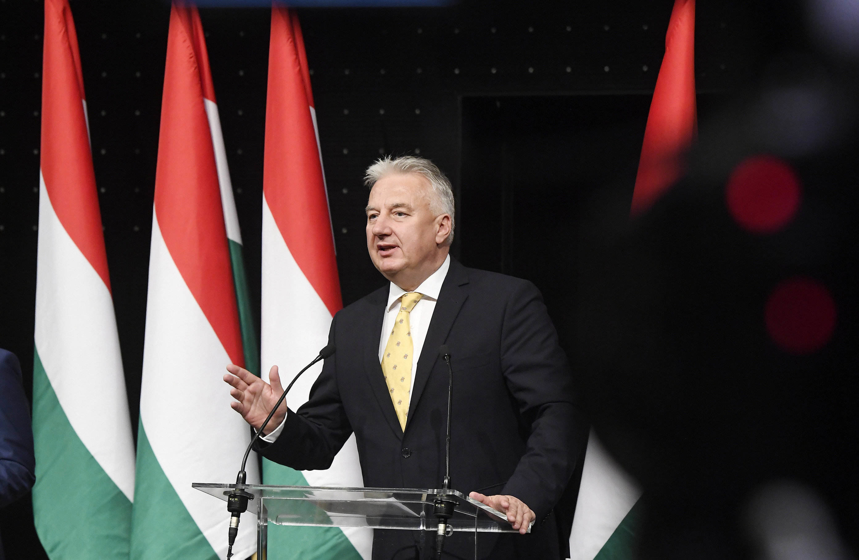 oficiální daspora maďaři