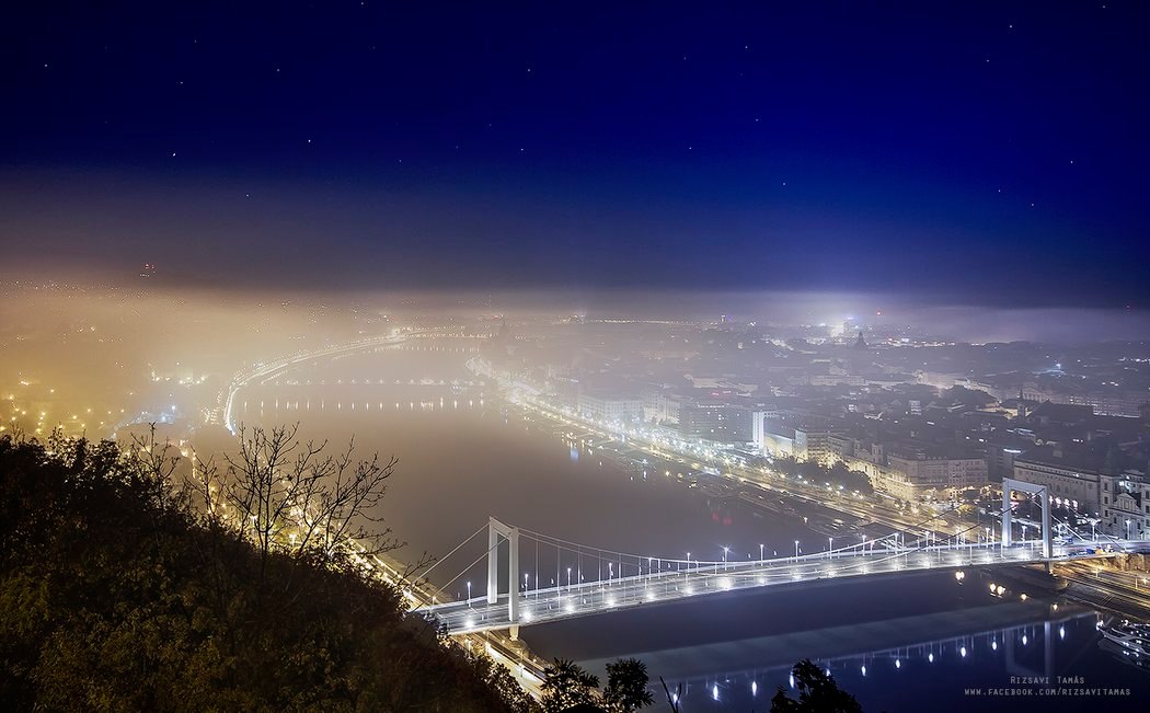 puente elizabeth en la niebla