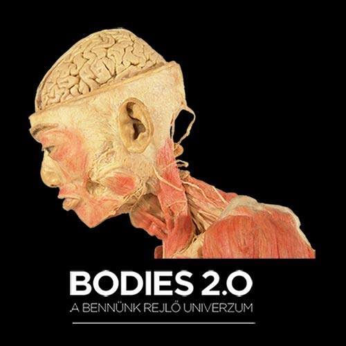 Body 2.0 - Vesmír v nás