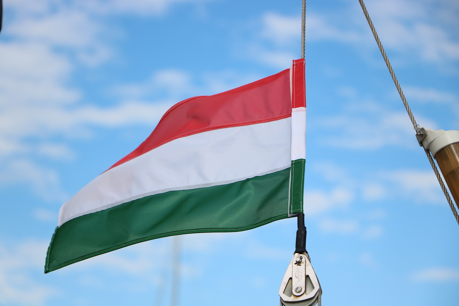 العلم المجري
