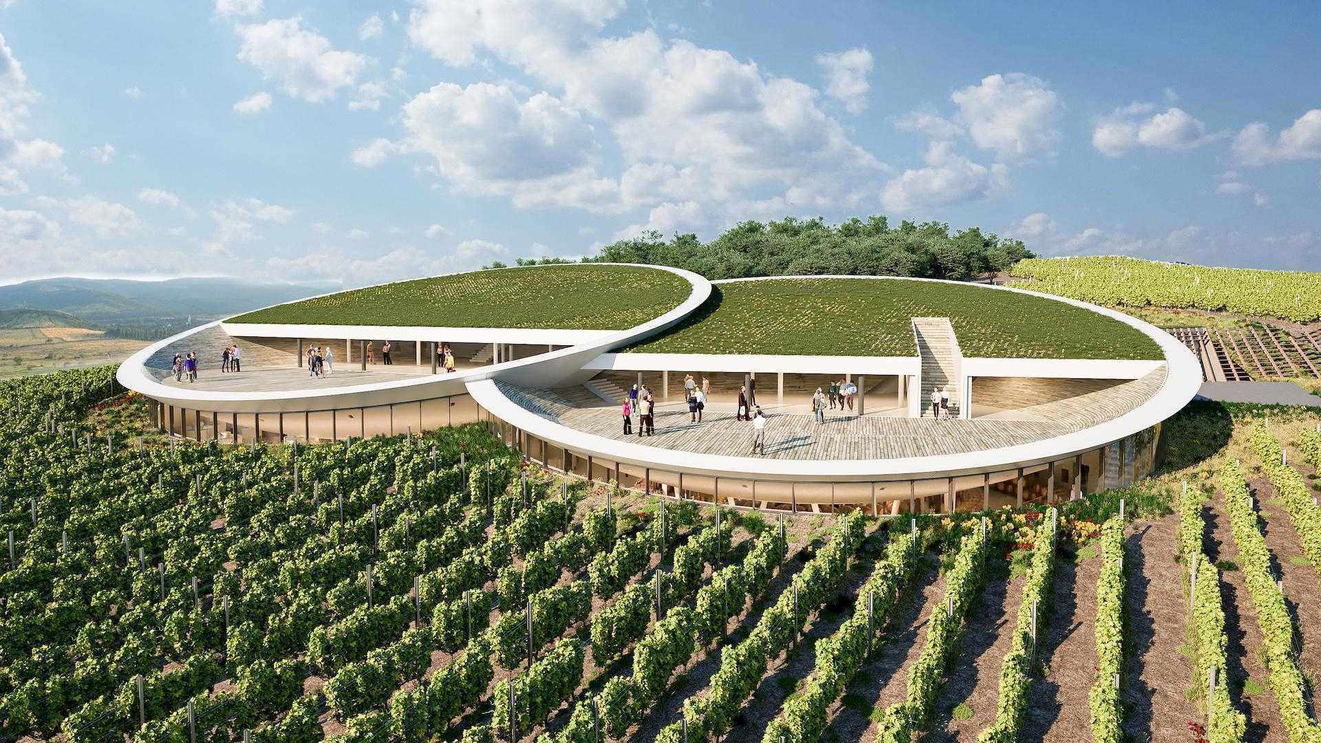 Sauska Winery عرض خطة التصميم Tokaj Bord Architect Studio