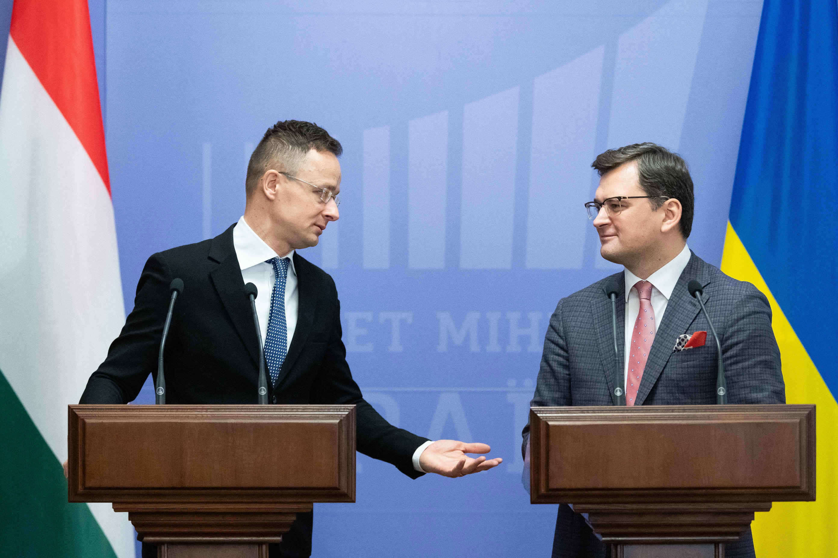 Ungaria Ucraina propunere
