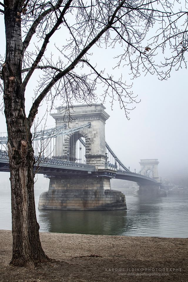 řetězový most mlha