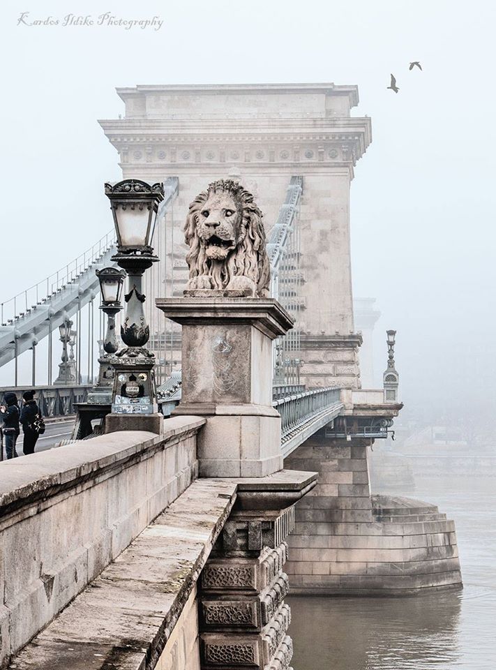 chain bridge lion