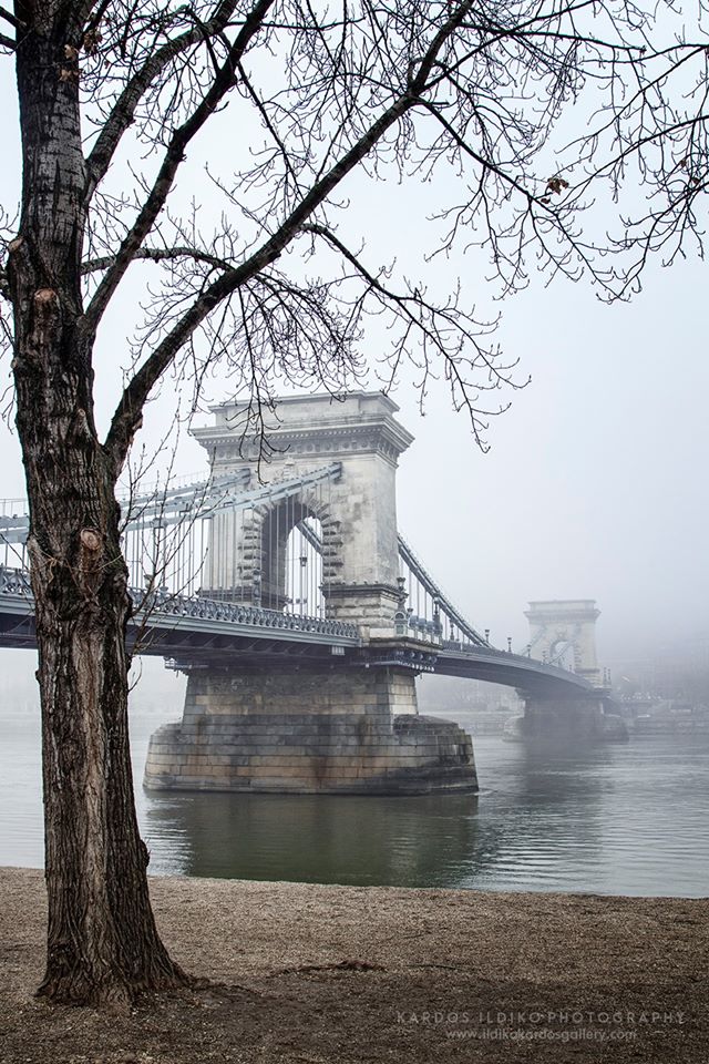 chain bridge fog