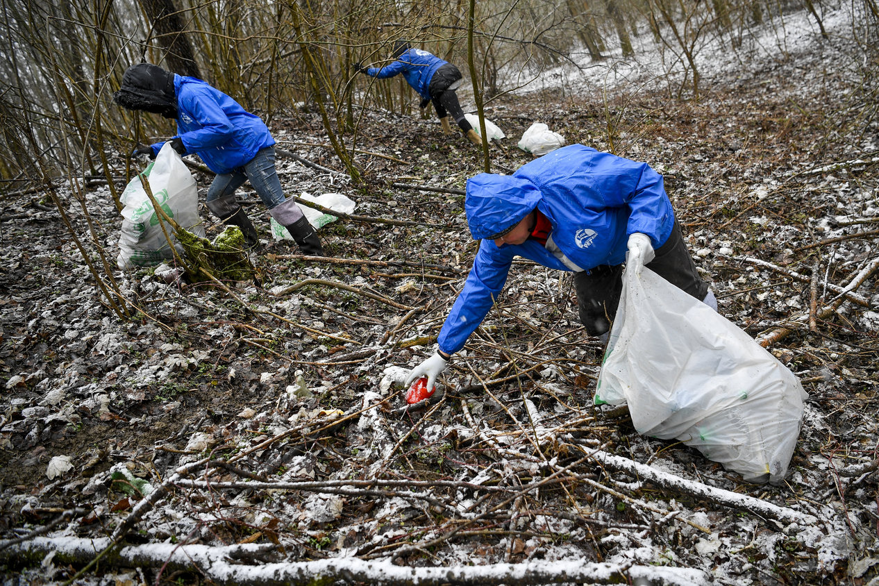 rubbish island river tisza