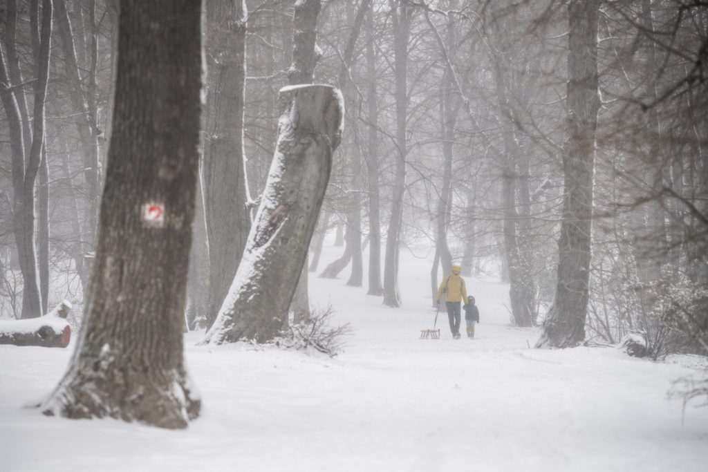 Snow Budapest