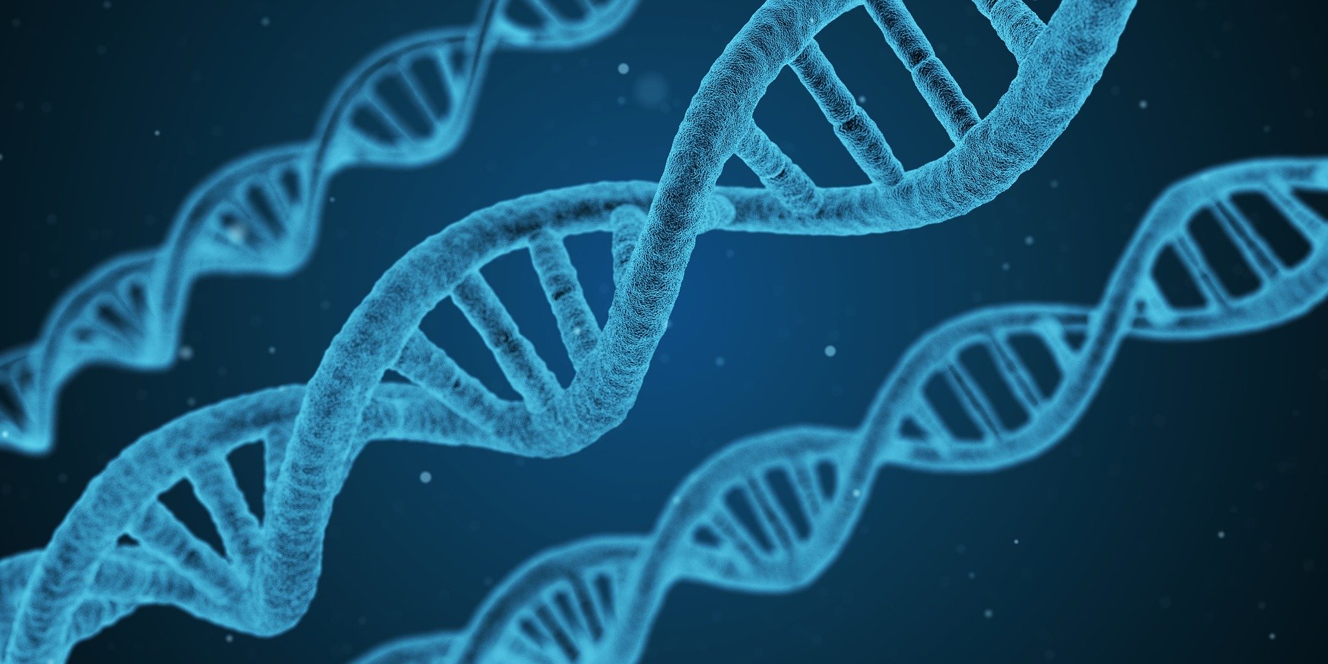 ДНК DNS