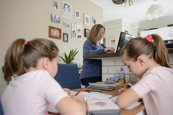 коронавирус карантин работа из дома онлайн школа венгрия