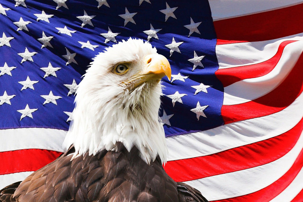 Орел под флагом США