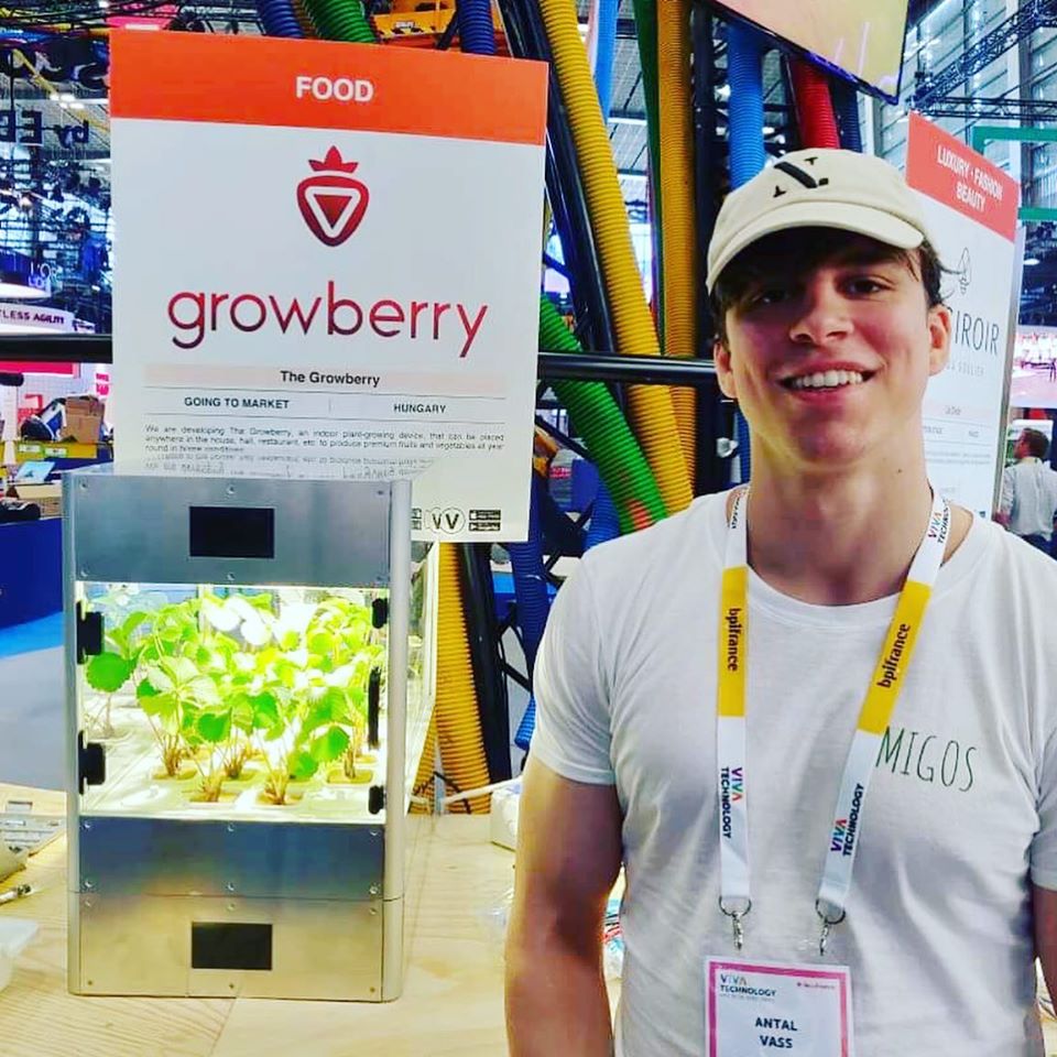 Hungarian start up growberry