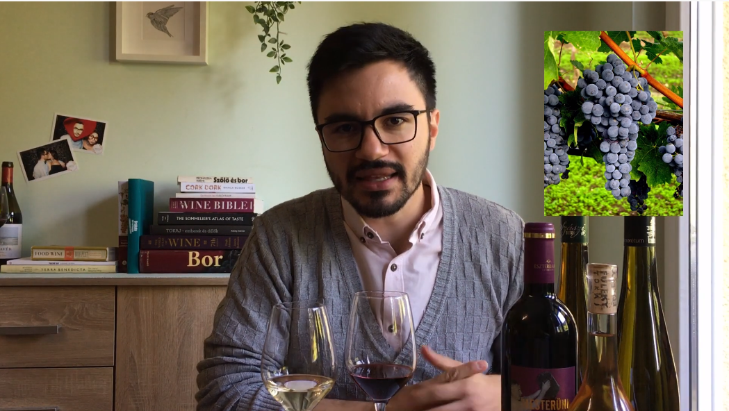 wine explanation video