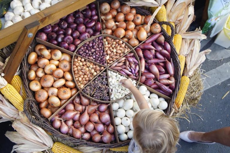 Makó Onion Festival
