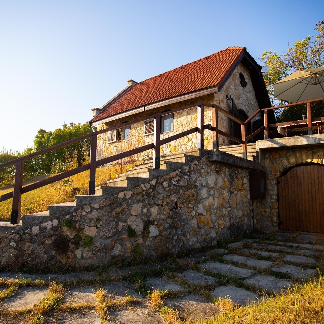 Szászi Birtok Estate House Cellar