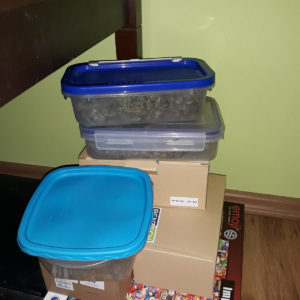 police raid anti-drogue miskolc budapest