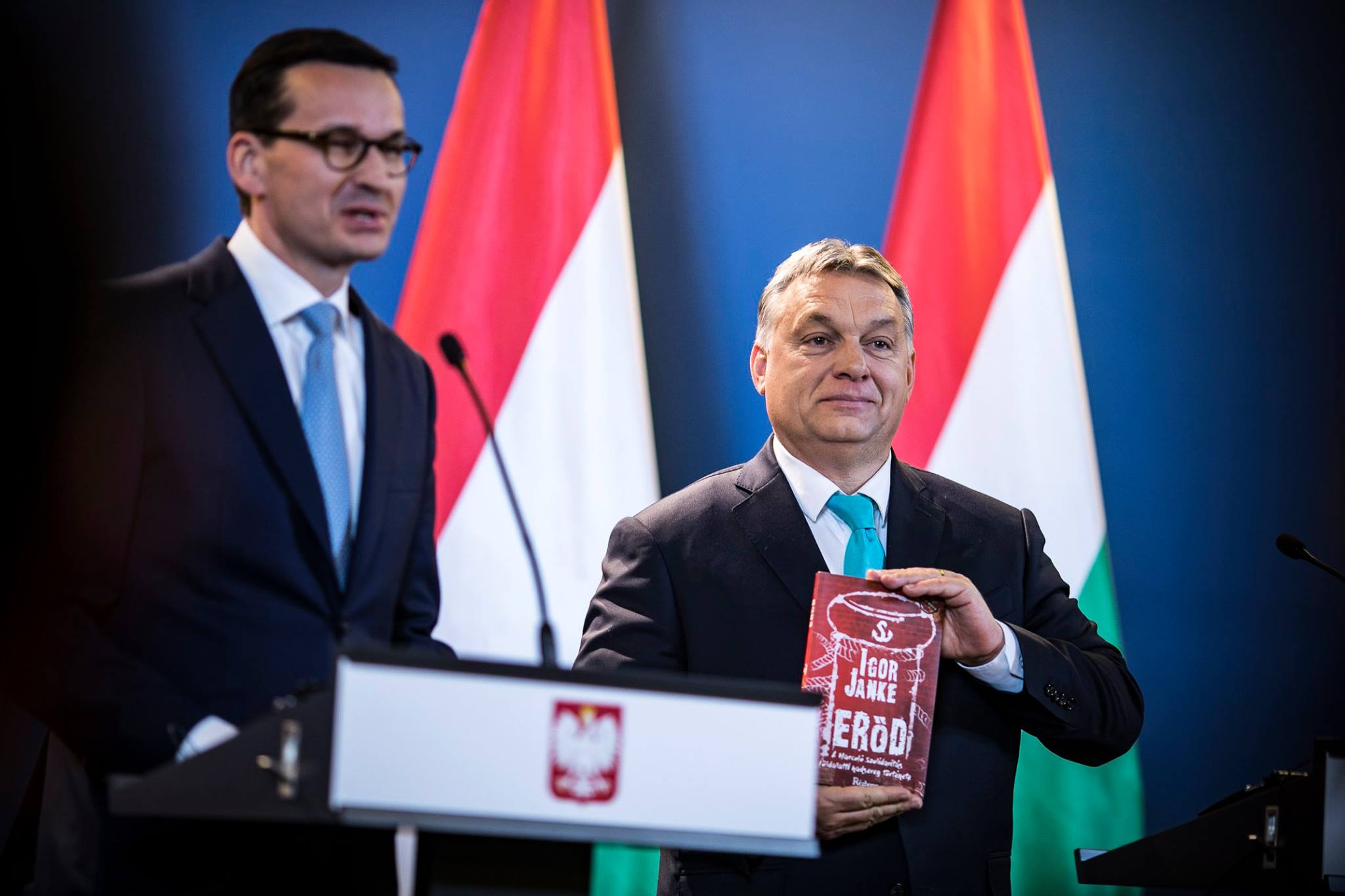 Poljska Mađarska demokracija