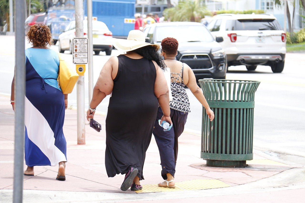 obésité santé graisse