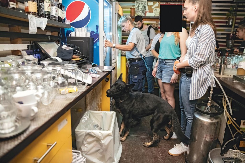 Police raid, Budapest