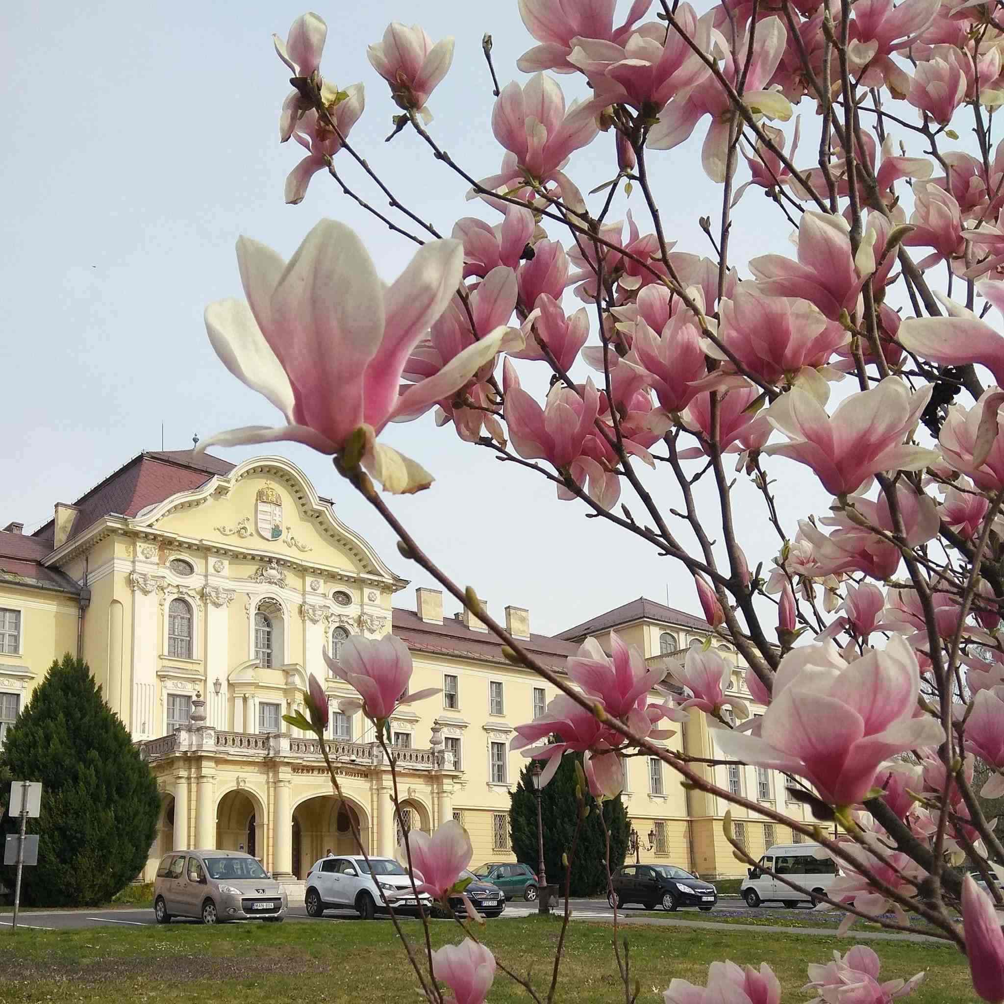 szent istván university gödöllő