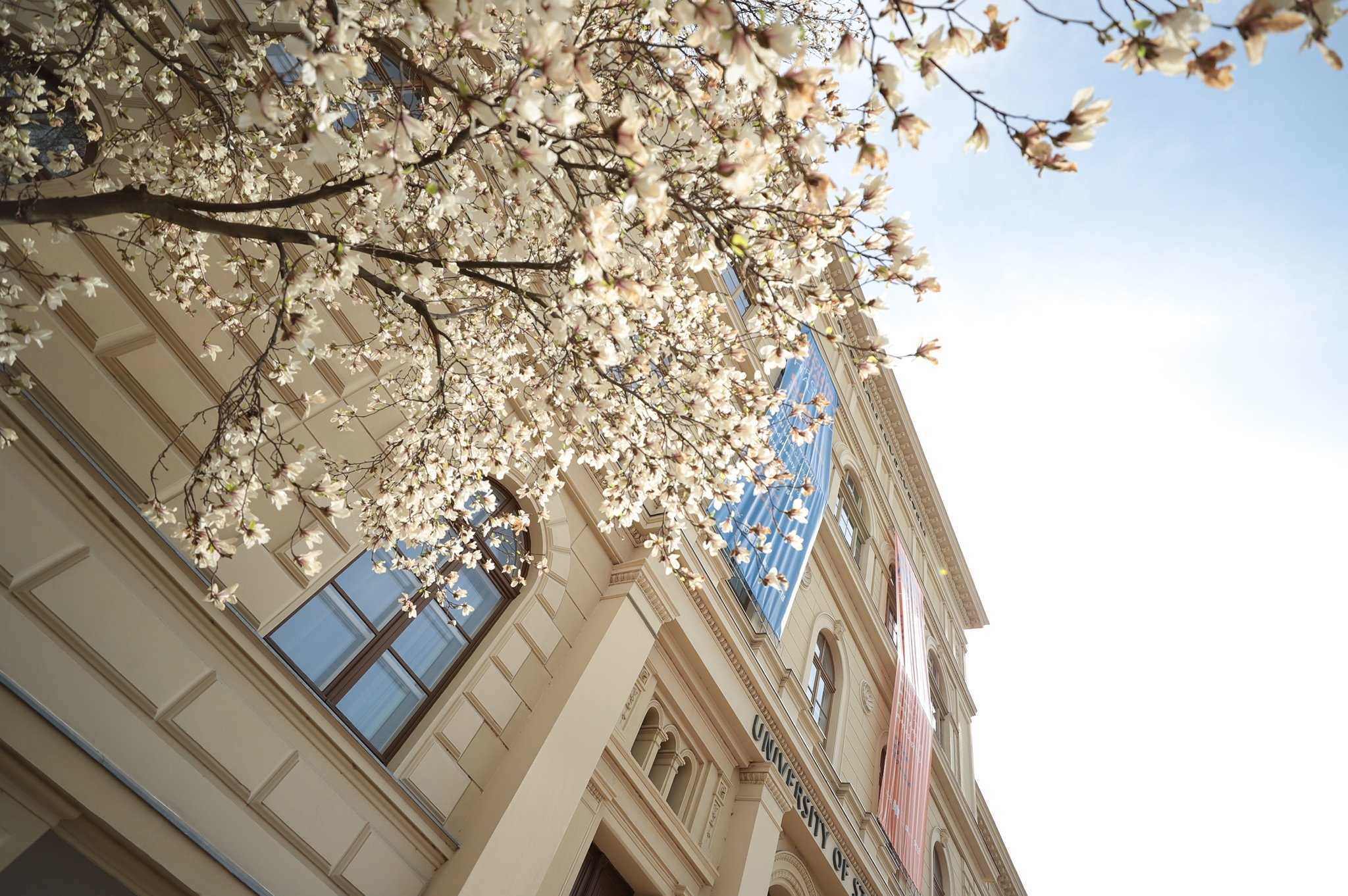 university of szeged hungary