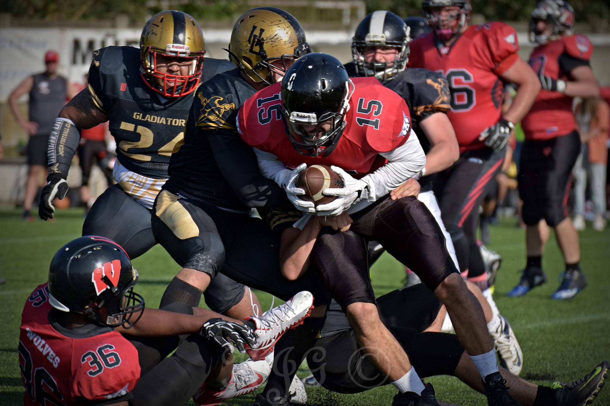 hfl american football Hungary