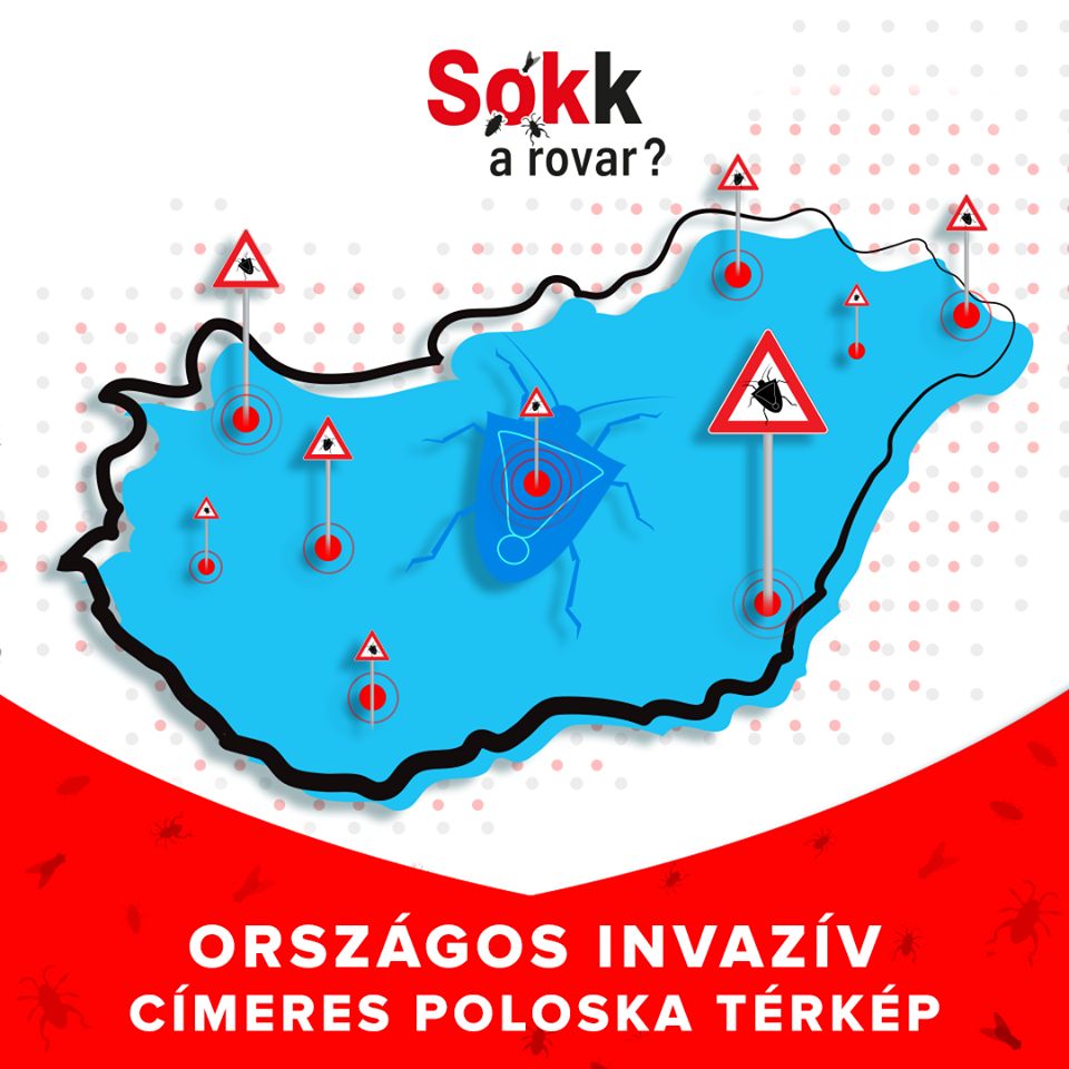 Sokk a rovar, stink bug, map, Hungary