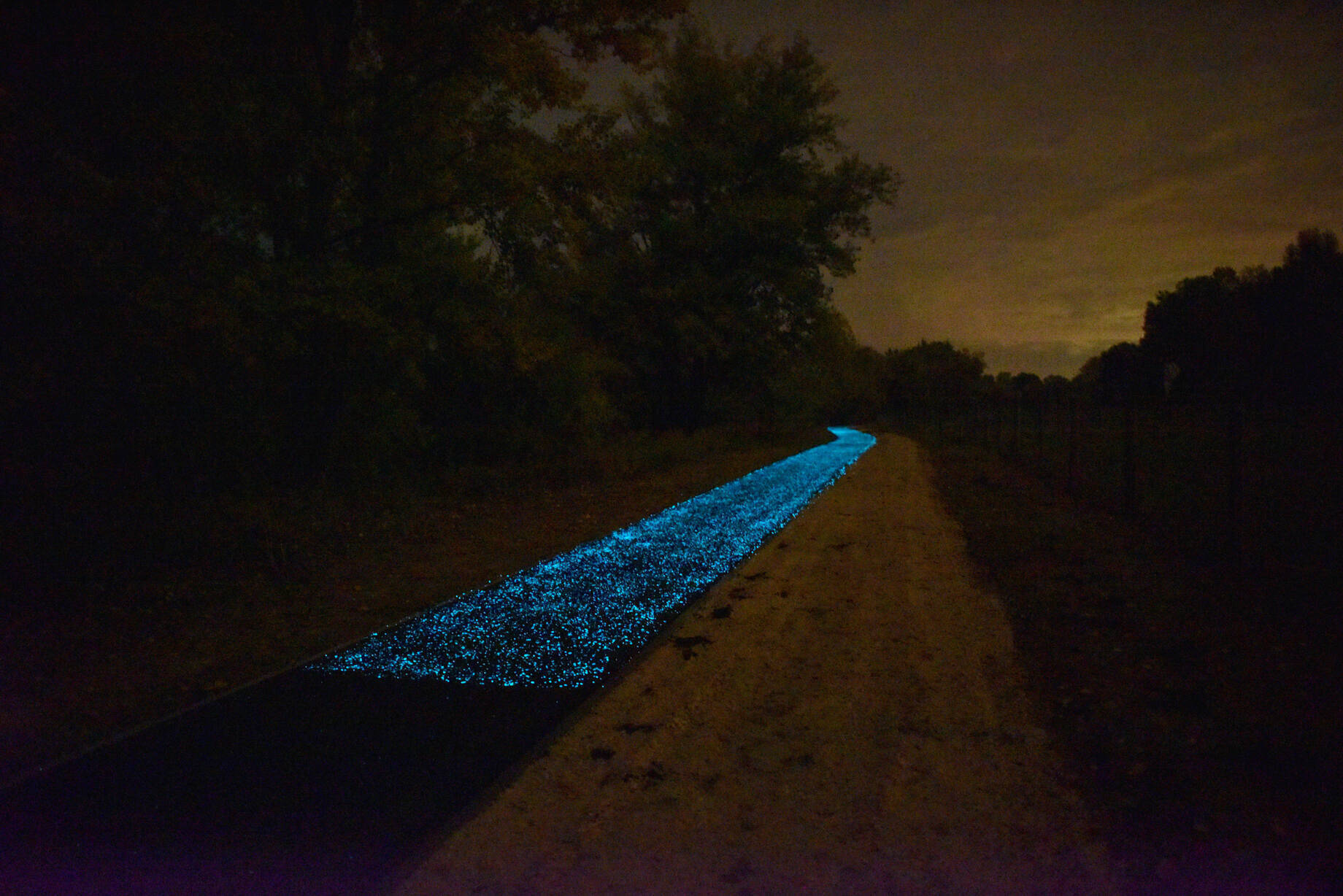 hungary glowing bicycle path traffic