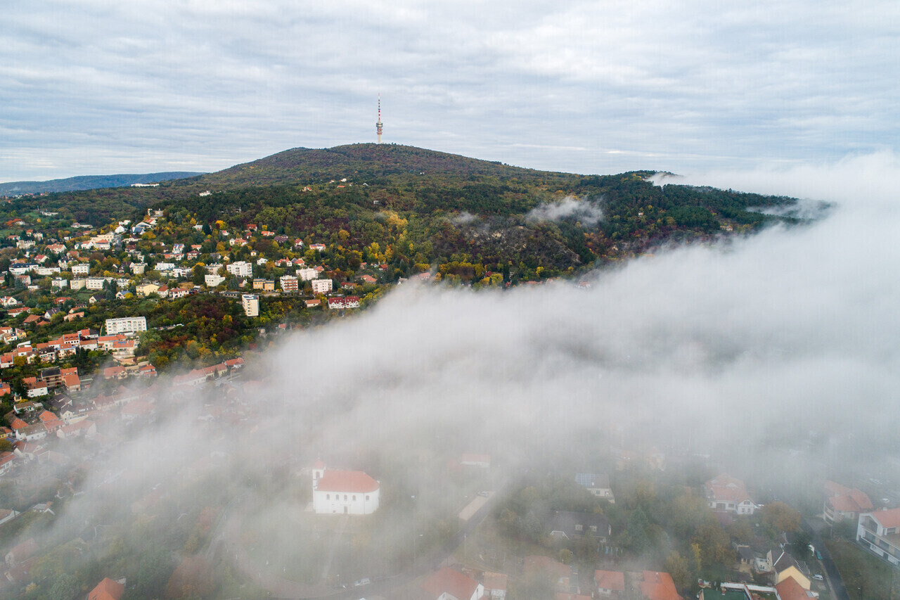 fog pécs